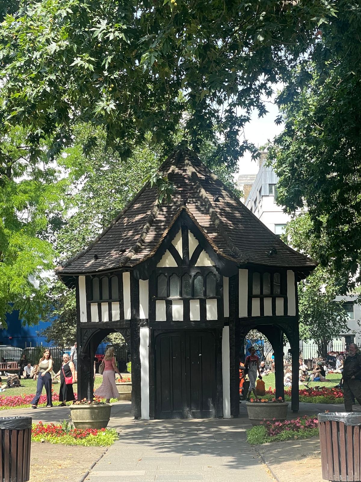 A photograph from one of Susie's walks